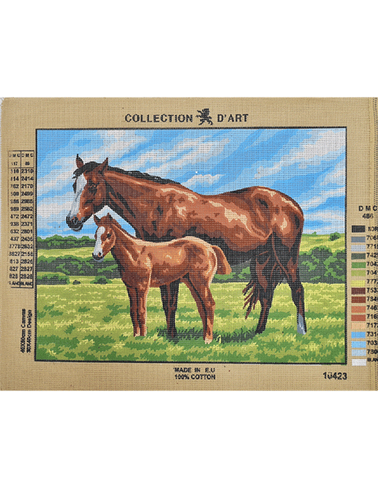 COLLECTİON DART GOBLEN 