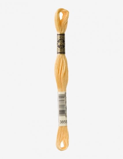 3855