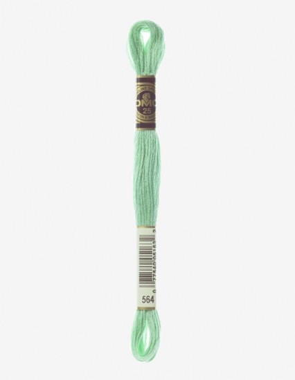 564