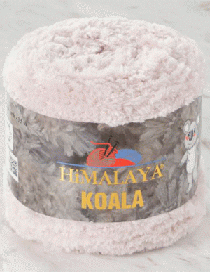 HİMALAYA  KOALA | HİMALAYA KOALA 01